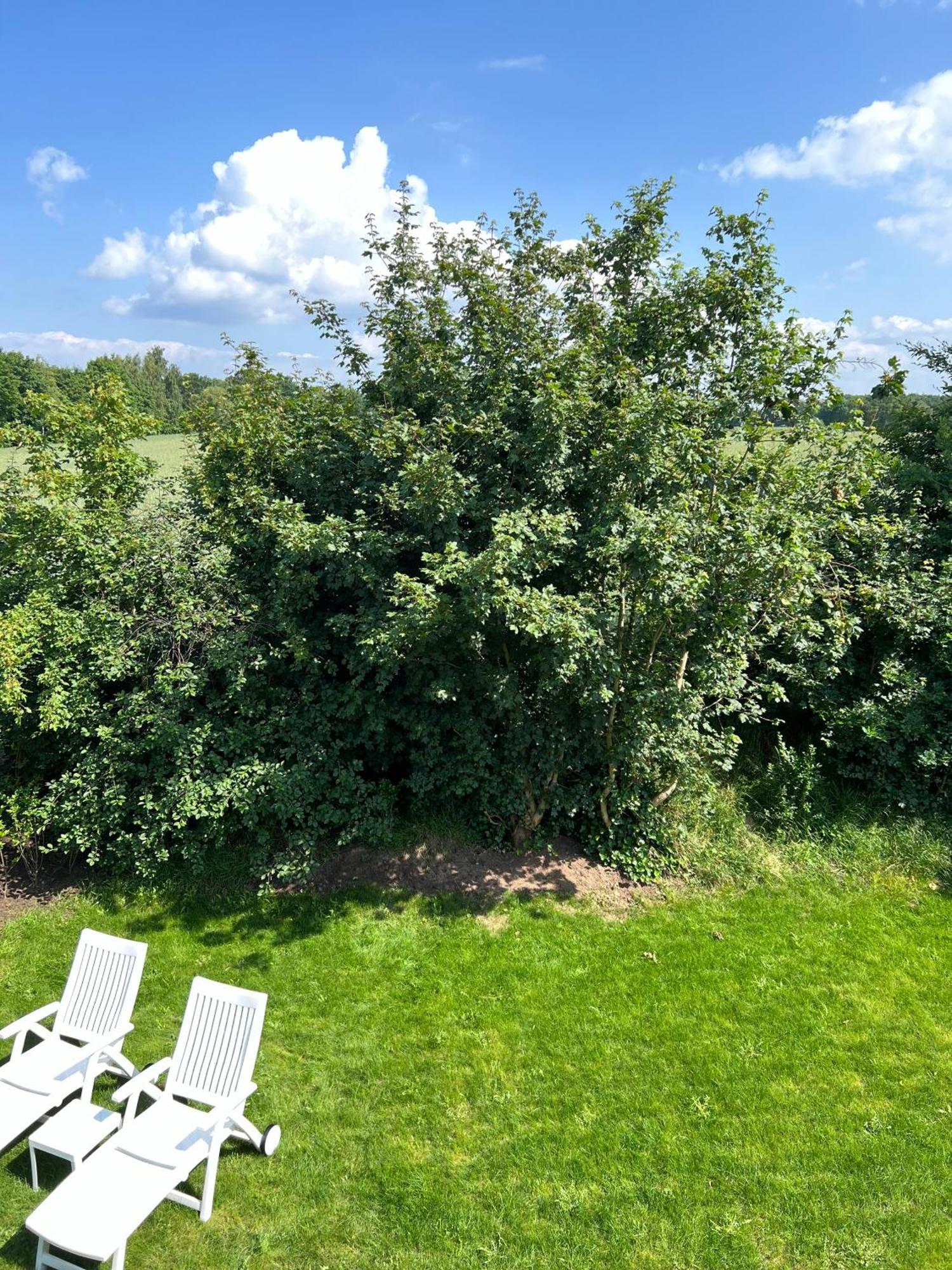 Haus Schoensee Heede Exteriör bild